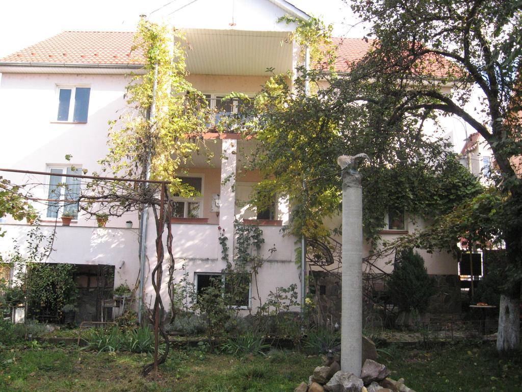 Vilni Kimnaty Hotel Muncaci Exterior foto
